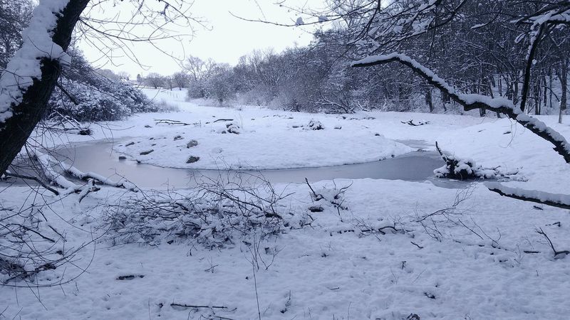 Mokřady v CHKO Český kras v zimě.