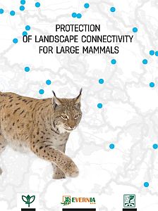 Protection of landscape connectivity for large mammals